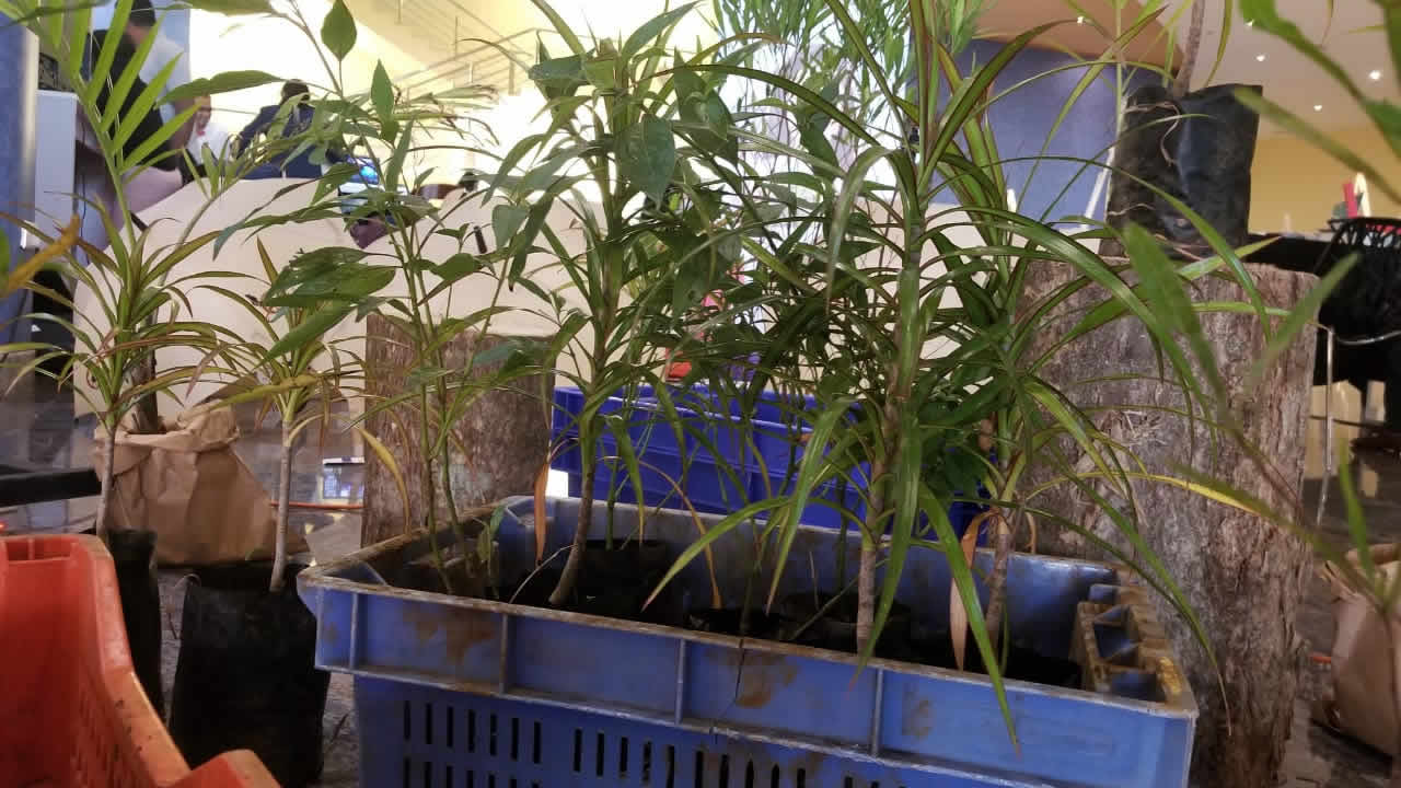 Salon du Prêt-à-Partir