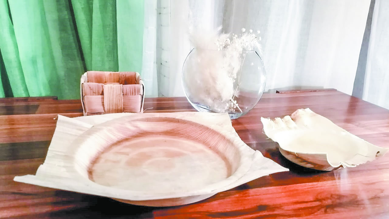 Des produits conçus à partir de feuilles de palmier séchées et pressées chez Out Growing.