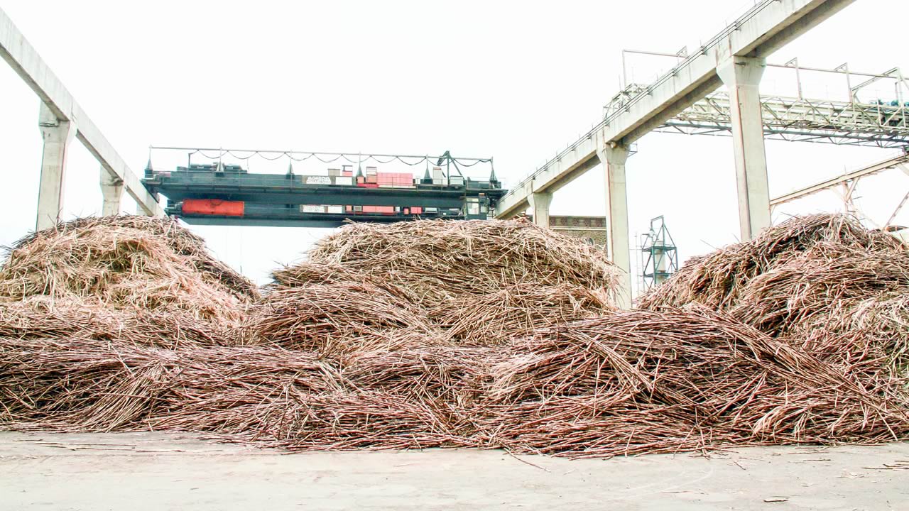 Le cours sucrier mondial est volatil et fluctue.