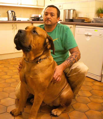 Le fils, John Wenden, incarcéré depuis 2016 à Maurice.