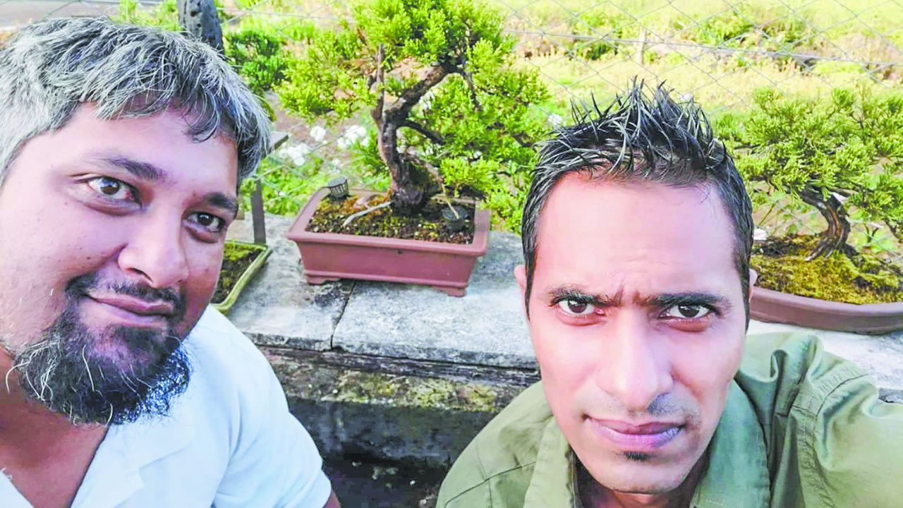 Pour Assad Tagaully (à dr.) et Hem Nunkoo, le bonsaï est une philosophie de vie.