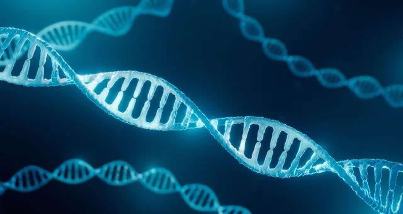 L’ADN de Bernard Maigrot a occupé une place centrale dans l'affaire.