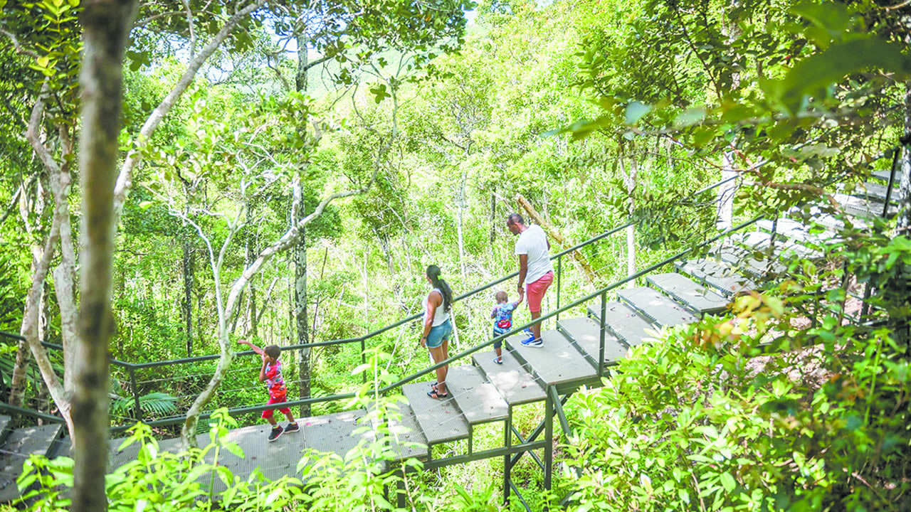 Chaque visite à Ebony Forest contribue directement à la sauvegarde de la biodiversité.