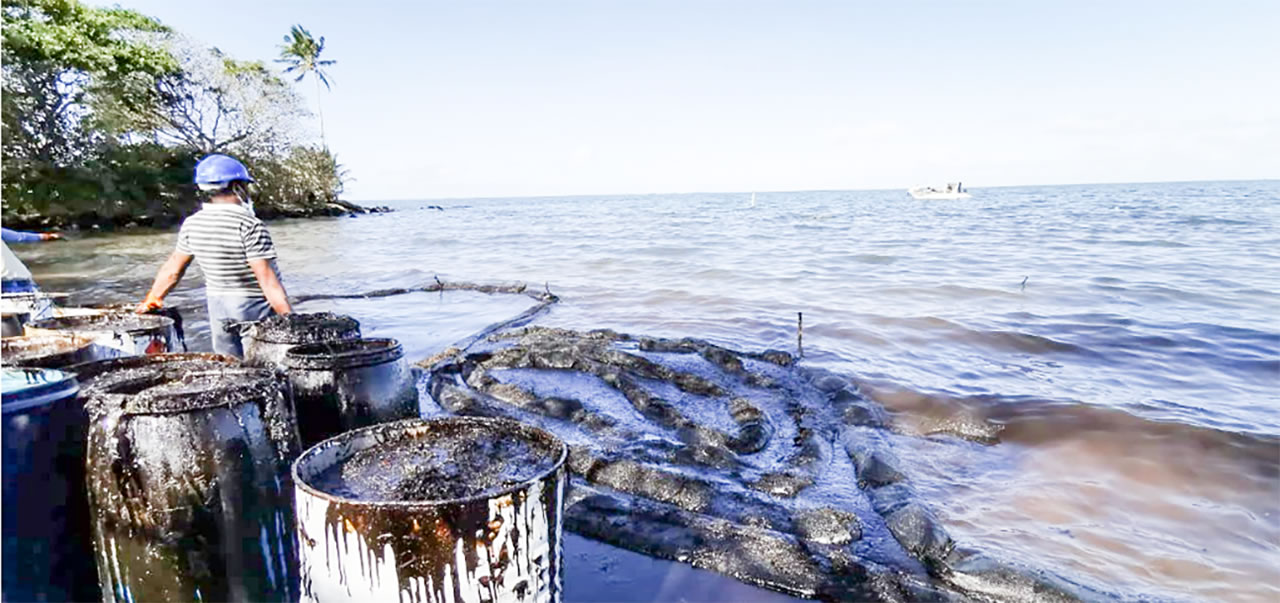 Des milliers de Mauriciens se sont mobilisés pour aider au nettoyage de la marée noire.