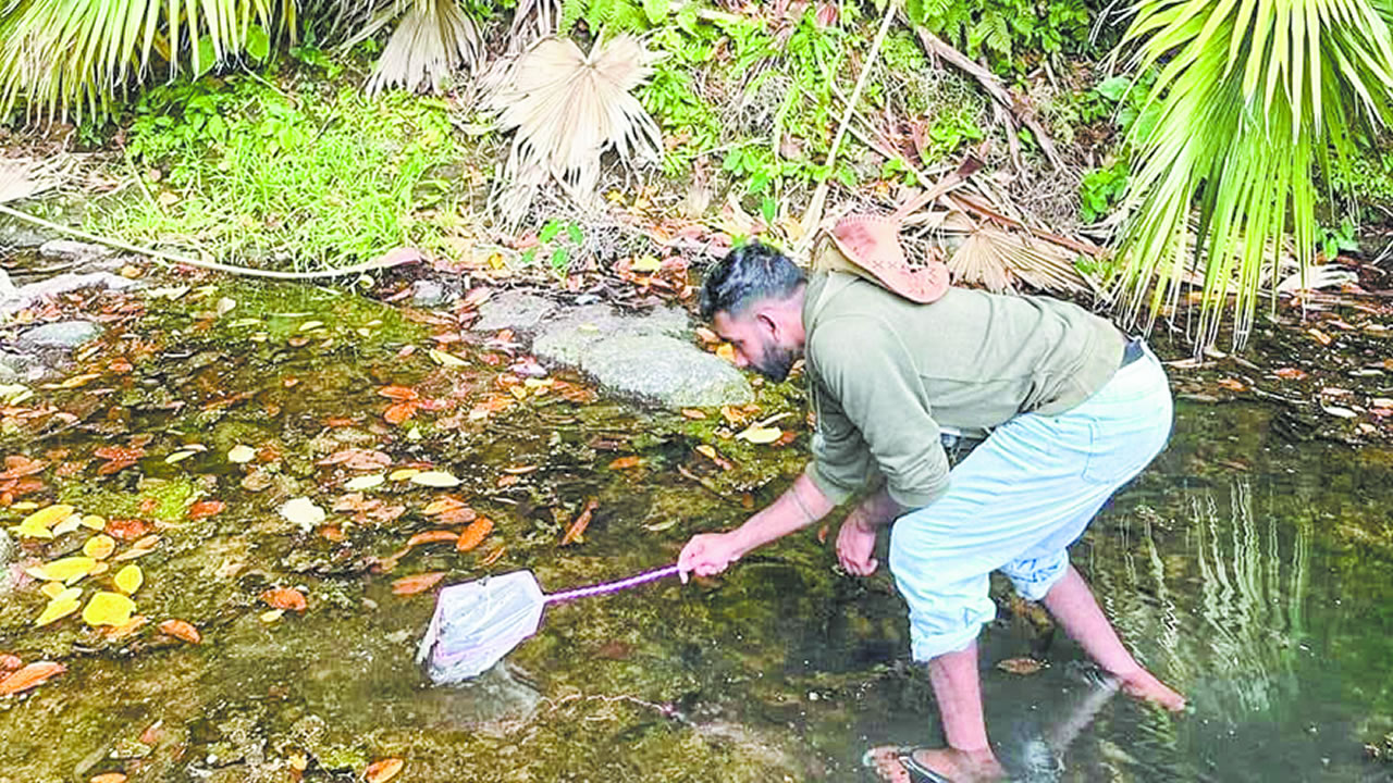 Passionné par les invertébrés d’eau douce endémiques, il collecte, observe, photographie, catalogue.