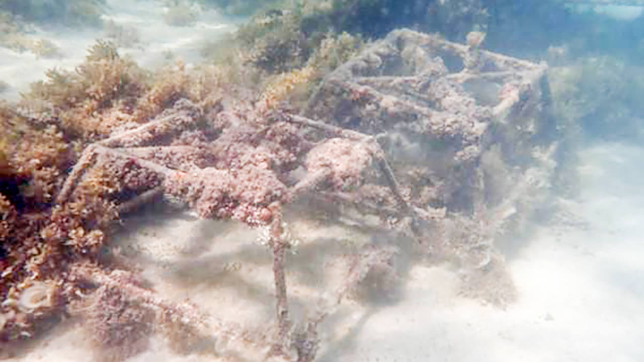 Selon Nadeem Nazurally, les photos diffusées par le ministère sont erronées et ne montrent pas la réalité.